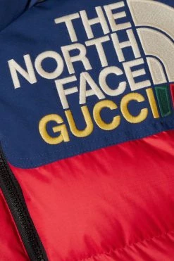 GUCCI + The North Face Daunenjacke Aus Gestepptem Shell Mit Kapuze Und Stickerei ,Rot -Offizielle GUCCI Website w920 q60 860